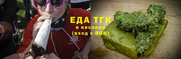 гашик Алексин
