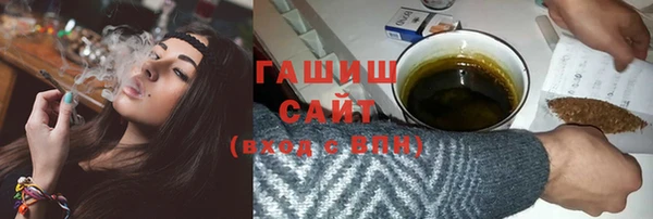 гашик Алексин