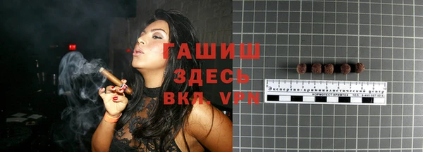 гашик Алексин
