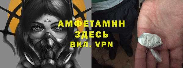 гашик Алексин