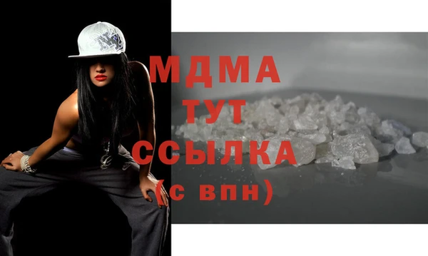 гашик Алексин