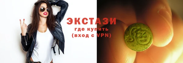 гашик Алексин