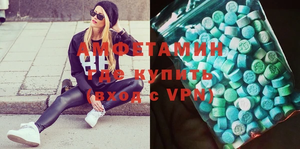 гашик Алексин