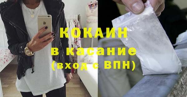 гашик Алексин