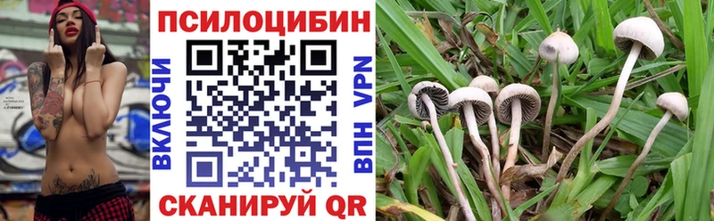 Псилоцибиновые грибы GOLDEN TEACHER  где найти наркотики  Долинск 